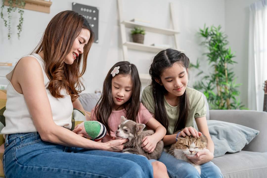 Ways to Get Help With Vet Bills